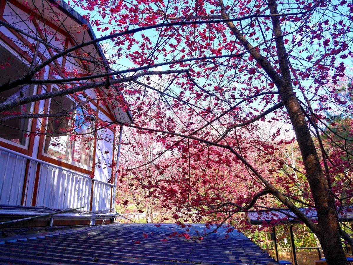 森之秘湯 Mhuwe Hotspring Apartment Renai Room photo